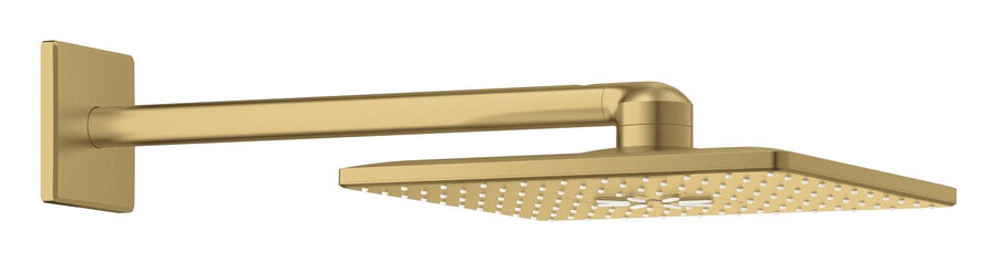 ensemble de douche de tête 430 mm 2 jets
